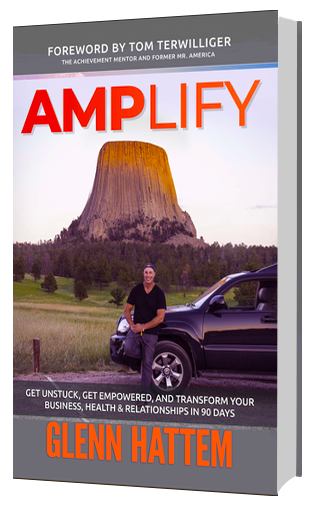 Amplify 3D book cover